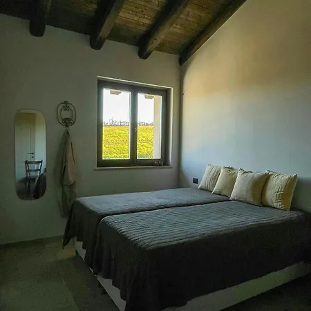 New With Infinity Pool Near Acqui Terme 度假居 Castel Rocchero